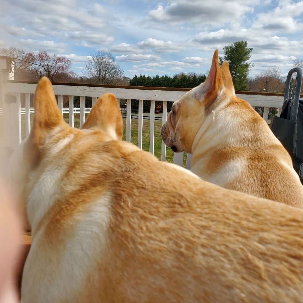 Meet your Posher, Jill